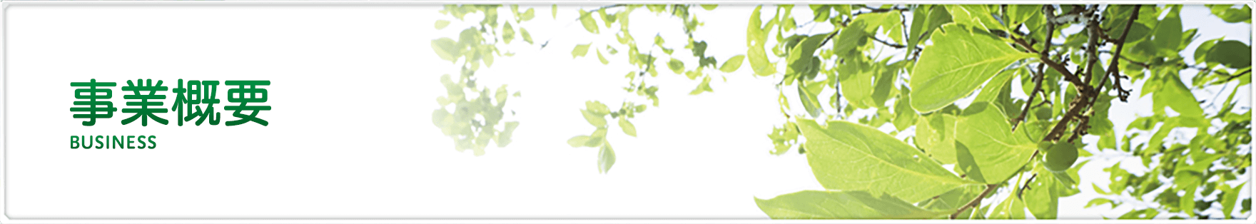 事業概要 BUSINESS