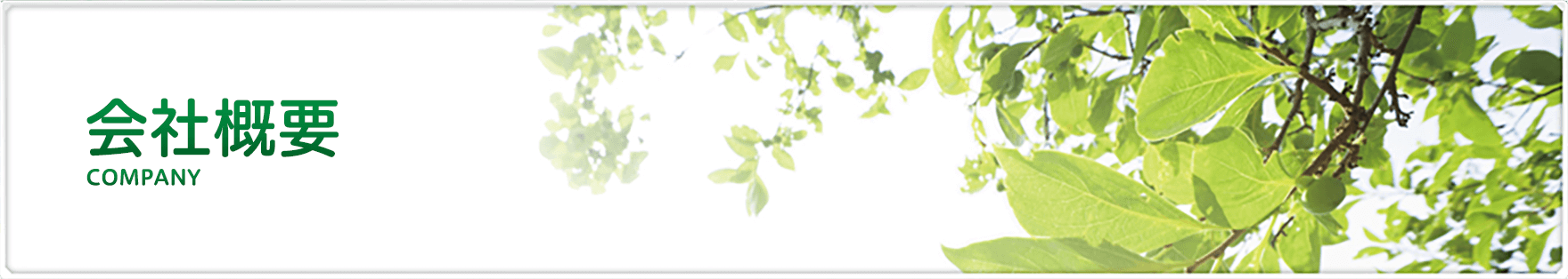 会社概要 COMPANY