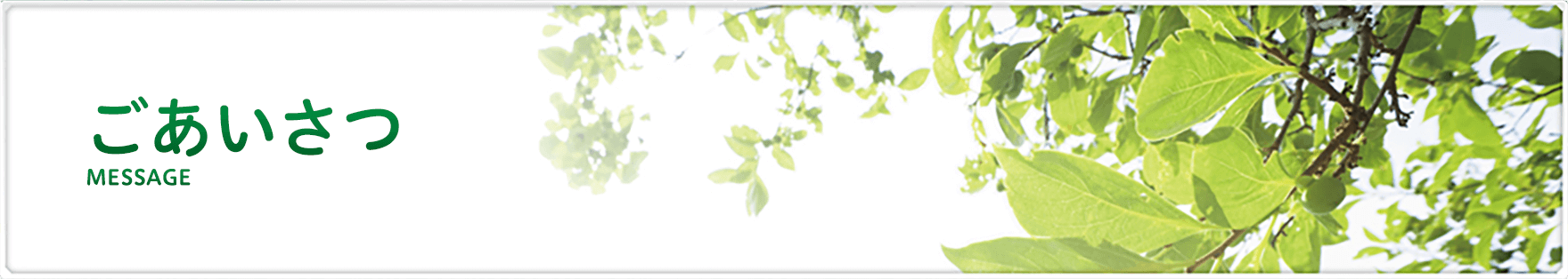 ごあいさつ MESSAGE
